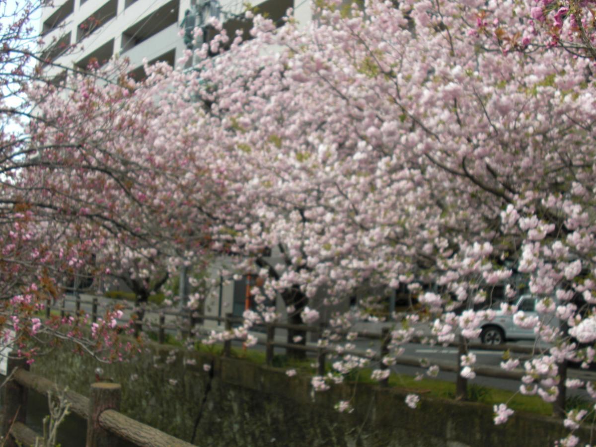 Plaza Hotel Fujinoi Hita Bagian luar foto